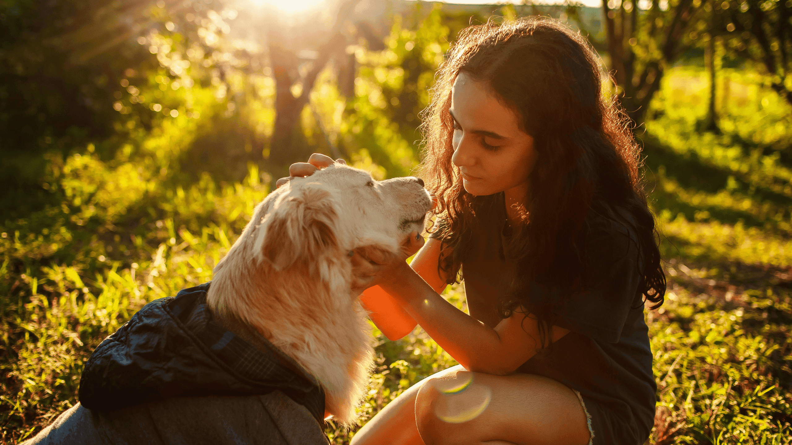 Alergija na kućne ljubimce: Možemo li živjeti sa psom ili mačkom uprkos alergiji?
