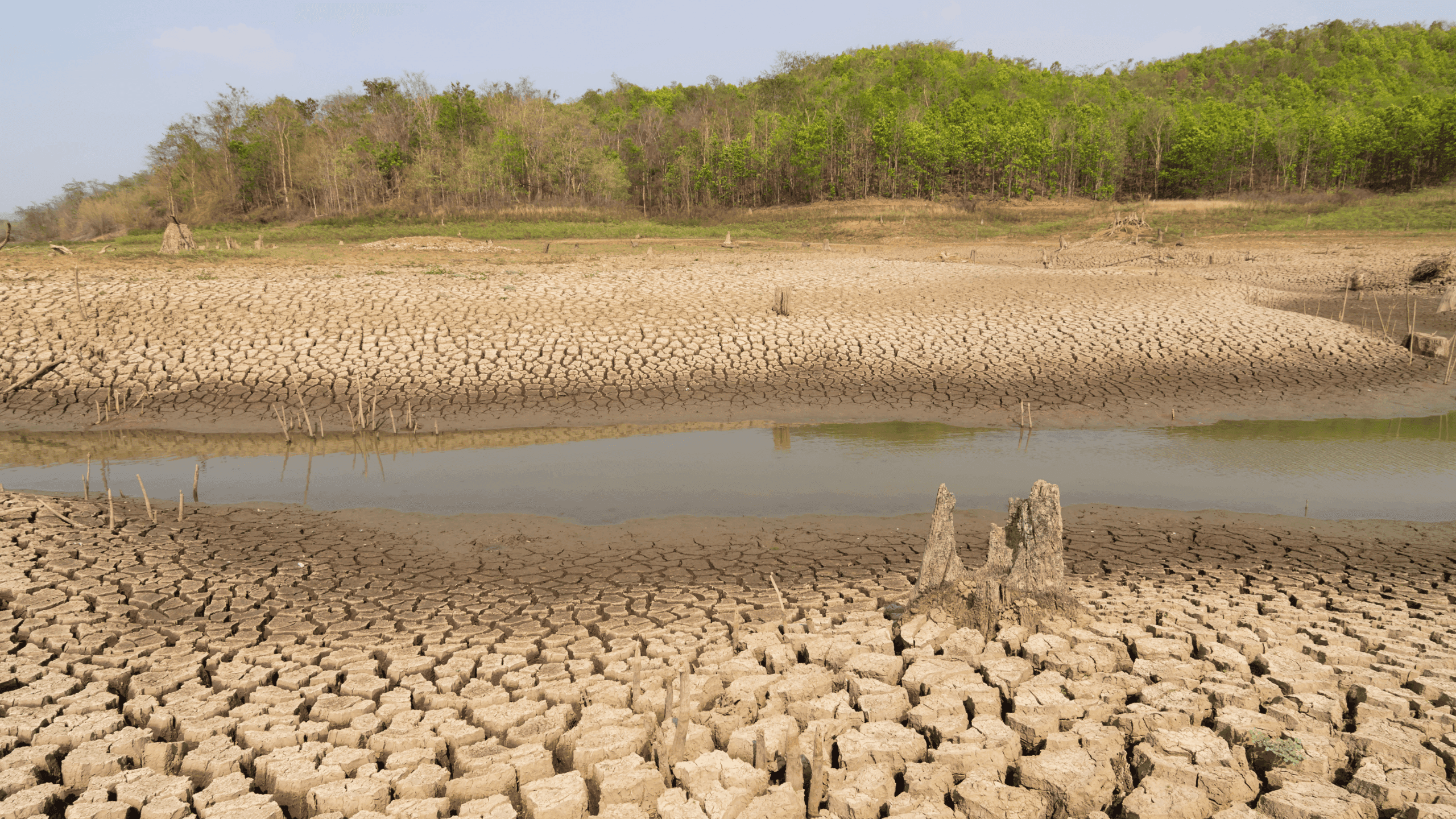 Utjecaj klimatskih promjena: Zašto sezone alergija traju sve duže?
